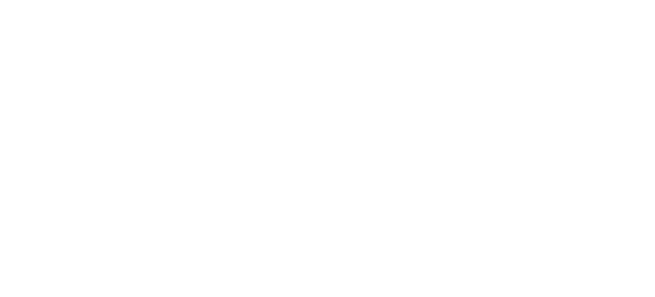 The Aesthetic Guide